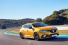 Kompaktsportler mit Allradlenkung und 280 PS: Richtig schnell - Der neue Renault Megane R.S.