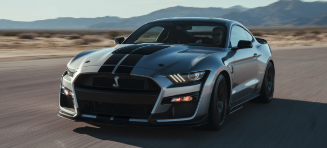 So muss ein Muscle Car aussehen!: Wer bietet mehr? Der neue Shelby GT500
