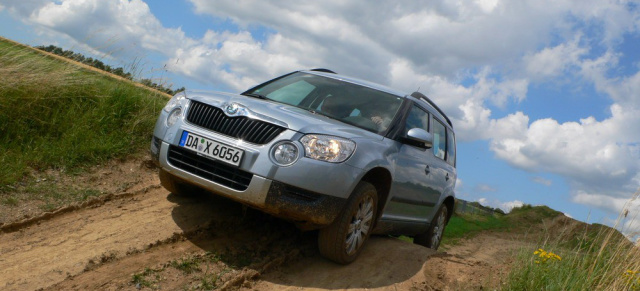 Fahrbericht: Skodas Kompakt-SUV Yeti (2009): Der Yeti lebt und kommt nach Deutschland