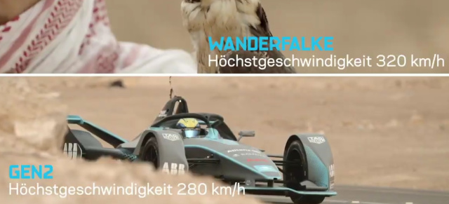 Motorsport unter Strom: Duell: Formel E-Racer vs. Wanderfalke