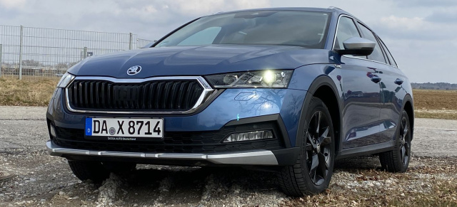 Der neue Skoda Octavia Scout 2.0 TDI 4x4 im Fahrbericht: Mud Master: Der Octavia fürs Grobe!