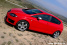 Seat Leon FR Facelift im Test: Seat Leon FR Facelift & Altea XL im Vau-Max.de-Test: Ein Löwe auf vier Rädern oder Papas Rache