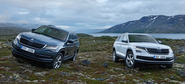 Dickes Ding mit langer Aufpreisliste: Das ist der neue Skoda Kodiaq (2017)