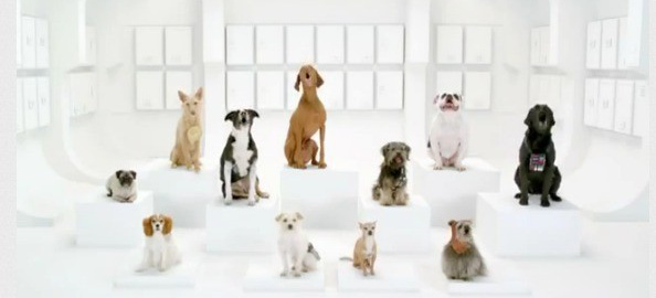 VW ist auf den Hund gekommen  der neue Super-Bowl Werbespot: Toller Spot oder Hundegejammer?