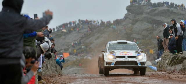 Rallye Argentinien  Volkswagen ist weiter auf Titelkurs: VW feiert schon jetzt die erfolgreichste WM-Rallye der Teamgeschichte.