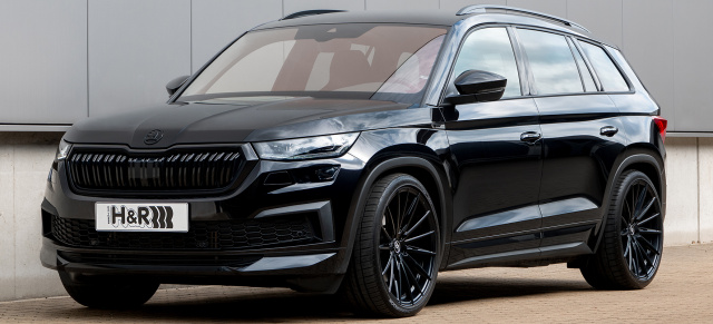 Performance im Detail: H&R Sportstabilisatoren für die Skoda Kodiaq Modelle ab 2017 inkl. RS-Modelle