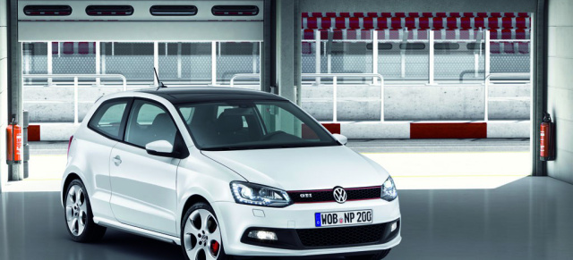 Umfrage: Der neuen Polo GTI  Top oder Flop?: 