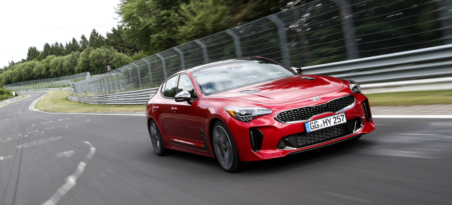 Der Kia Stinger kommt noch im Oktober in den Handel: Das kostet der neue Kia Stinger