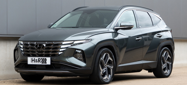 2 Stück Auto Motorhauben-Gasfeder für Hyundai Tucson NX4 2021 2022 2023  Stoßdämpfer Stabile Unterstützung Hydraulikhebel : : Auto &  Motorrad