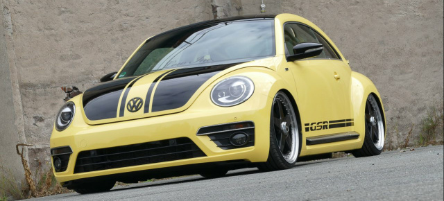 VW Beetle GSR tief dank Luft: Gelb-Schwarzer Renner als tiefe Gute-Laune-Kugel