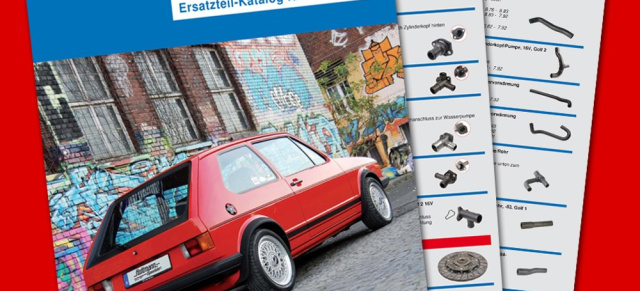 NEU: Hoffmann Speedster Spezialkatalog Golf 1 und 2: Alles für den Golf... 