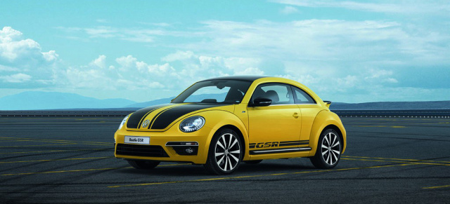 Er ist zurück, der "Gelb-Schwarze Renner - diesmal als Beetle GSR: VW legt ein auf 3.500 Exemplare limitiertes Beetle-Sondermodell auf.