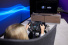 SimRacing - Motorsport im virtuellen Raum: Symbiose aus Motorsport und E-Sport
