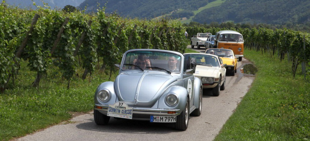 Im Käfer-Cabriolet die Silvretta Classic fahren: VAU-MAX-Autor Tim Westermann unterwegs im 140 PS Käfer Cabrio