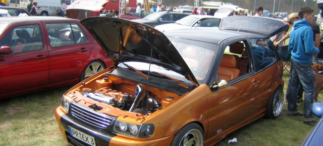 15. VW Treffen Wittenberge 2010 - die Bilder: Bestes Wetter beim Saisonauftakt im Norden