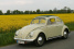 Mehr als 200 000 Pkw mit H-Kennzeichen - VW Käfer auf Platz 1: In der Rangliste der Modelle mit H-Kennzeichen steht der VW-Käfer mit 25.505 Fahrzeugen auf Platz eins. 