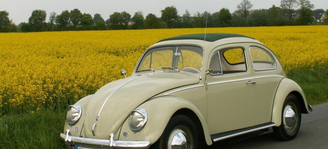 Mehr als 200 000 Pkw mit H-Kennzeichen - VW Käfer auf Platz 1: In der Rangliste der Modelle mit H-Kennzeichen steht der VW-Käfer mit 25.505 Fahrzeugen auf Platz eins. 