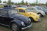 Der VW Käfer: Die Geschichte von Volkswagen und ihr ikonischstes Modell
