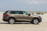 Video-Fahrbericht! Ein tierisches Vergnügen: 2017er Skoda Kodiaq TDI im VAU-MAX-Fahrbericht 