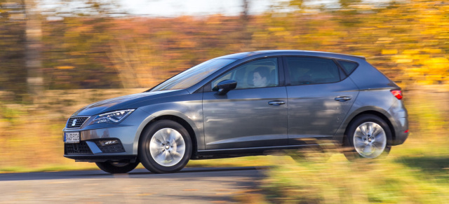 Video-Fahrbericht - Seat Leon TGI als Erdgas-Variante im Test: Die Alternative zum E-Auto im Test - Fahren für 3 Euro!