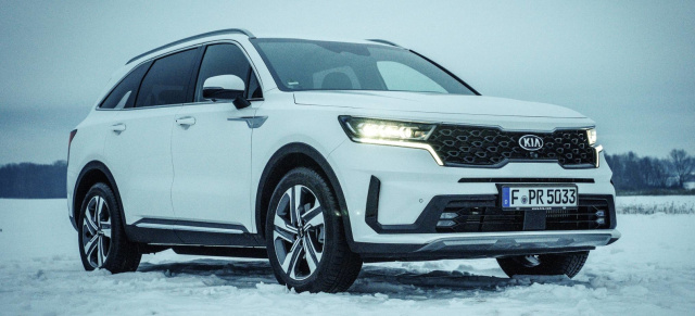 Ein echtes Volks-SUV? Damit überzeugt der Kia Sorento: 2021er Kia Sorento Hybrid im VIDEO-Fahrbericht