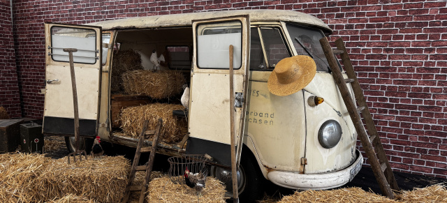 Maikäfertreffen 2026 in Hannover: VWN feiert 70 Jahre Produktion in Hannover mit drei 56er Bullis auf dem Maikäfertreffen