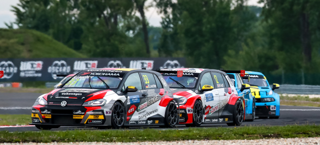 Der Volkswagen Golf GTI TCR im Tourenwagen Weltcup WTCR: Leichter Aufwind für die GTI-Kämpfer