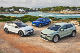 Trendmarke im VW-Konzern: Skoda sticht VW-Konkurrenz aus