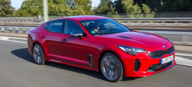 Endlich im Stinger-Club: KIA Stinger GT im Video-Fahrbericht: 2020er KIA Stinger GT im Video-Fahrbericht