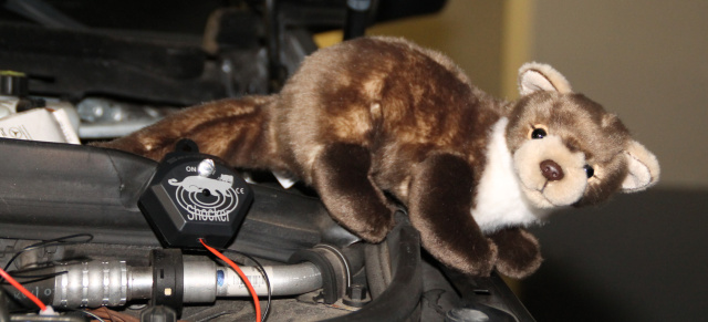 Marderschutz, Schluss mit zerbissenen Leitungen im Motorraum: Marderschreck macht schützt Fahrzeug und Tiere