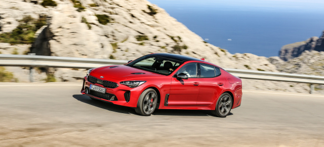 Kia´s Topmodell feiert seine Markteinführung: Händlerpremiere für den Kia Stinger