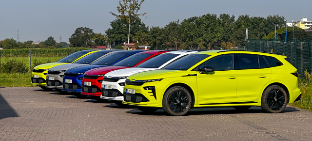 Fahrzeugpflege: Lackreparaturen beim Skoda