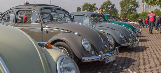 Der Maikäfer ist gekommen: 3.500 Luftgekühlte beim 34. Maikäfertreffen in Hannover