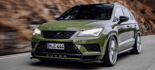 Gepfeffertes Obst: Armins Ateca als nachgeschärfter Cupra-SUV