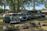 Ein Wochenende für den California: Volkswagen California Festival 2025: Bulli-Kult an der Frankreichs Atlantikküste