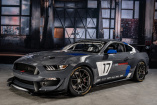 Rennpferd für den Kundensport: Der Ford Mustang GT4 als Tracktool